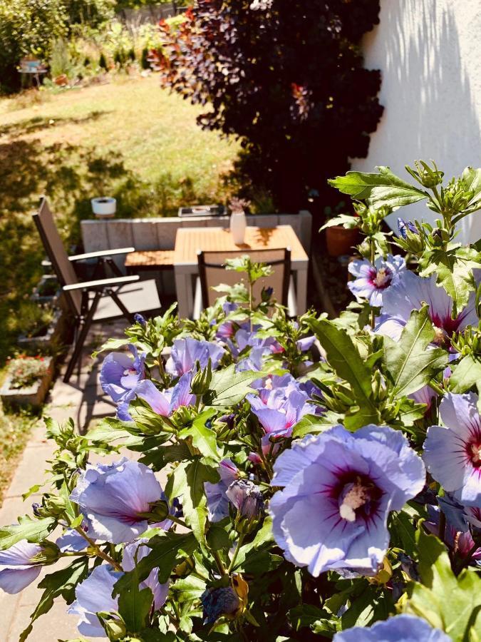 Ferienwohnung „Hygge“ In Liebenburg Εξωτερικό φωτογραφία
